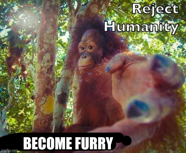 Return to monke | BECOME FURRY | image tagged in furry | made w/ Imgflip meme maker