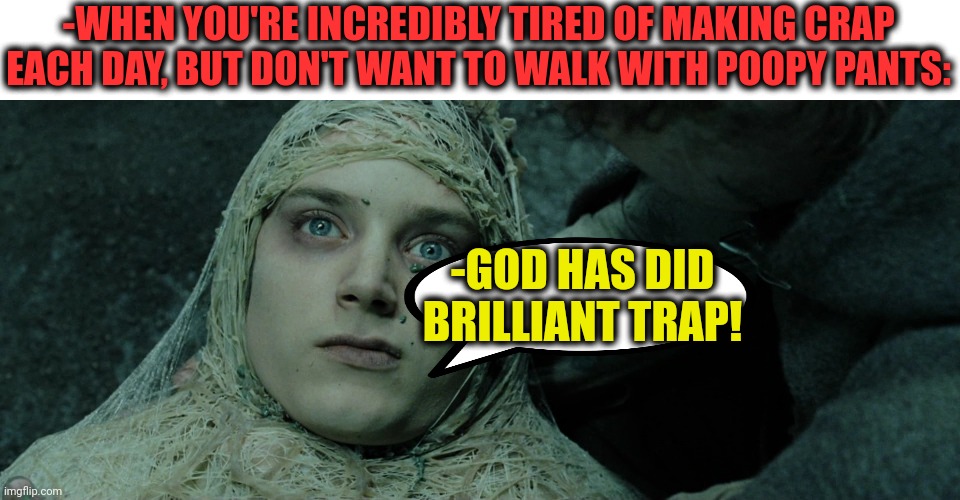 -Overload. | -WHEN YOU'RE INCREDIBLY TIRED OF MAKING CRAP EACH DAY, BUT DON'T WANT TO WALK WITH POOPY PANTS:; -GOD HAS DID BRILLIANT TRAP! | image tagged in frodo lotr,poopy pants,toilet humor,toilet paper,its a trap,advice god | made w/ Imgflip meme maker
