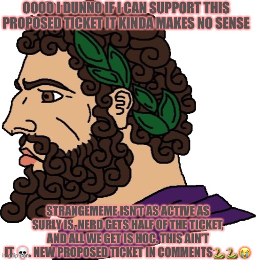 Hahahahahahahah |  OOOO I DUNNO IF I CAN SUPPORT THIS PROPOSED TICKET IT KINDA MAKES NO SENSE; STRANGEMEME ISN’T AS ACTIVE AS SURLY IS, NERD GETS HALF OF THE TICKET, AND ALL WE GET IS HOC. THIS AIN’T IT 💀. NEW PROPOSED TICKET IN COMMENTS🐍🐍😭 | image tagged in roman chad | made w/ Imgflip meme maker