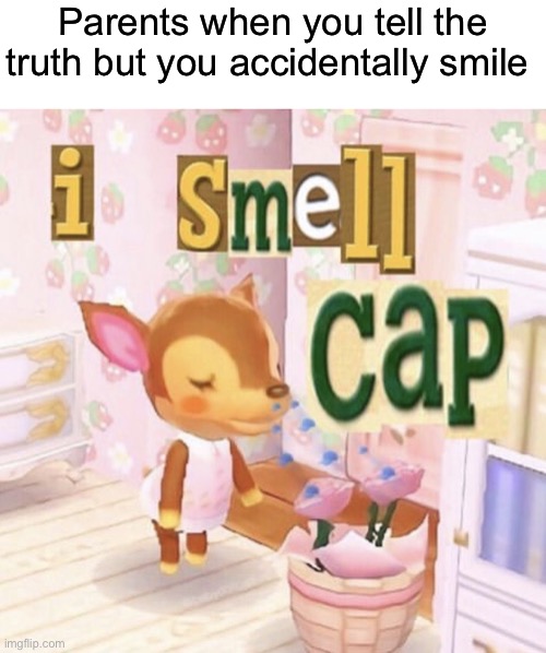 Yes | Parents when you tell the truth but you accidentally smile | image tagged in i smell cap | made w/ Imgflip meme maker