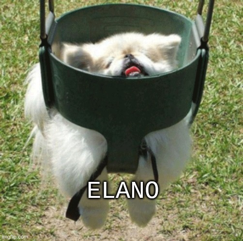 ElAnO | ELANO | image tagged in waiting skeleton | made w/ Imgflip meme maker