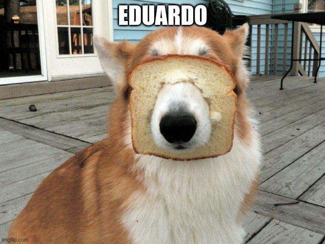 Eduardo | EDUARDO | image tagged in memes | made w/ Imgflip meme maker