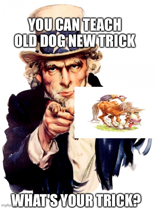 Tick | YOU CAN TEACH OLD DOG NEW TRICK; WHAT'S YOUR TRICK? | image tagged in memes,uncle sam | made w/ Imgflip meme maker