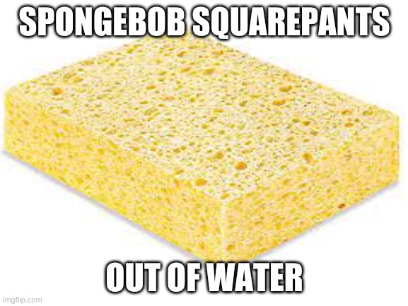 true | SPONGEBOB SQUAREPANTS; OUT OF WATER | image tagged in meme,idk,blank white template,sponge,spongebob | made w/ Imgflip meme maker