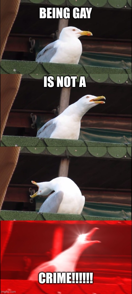 Inhaling Seagull Meme | BEING GAY; IS NOT A; CRIME!!!!!! | image tagged in memes,inhaling seagull | made w/ Imgflip meme maker