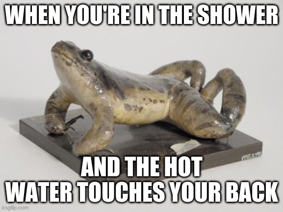 WHEN YOU'RE IN THE SHOWER; AND THE HOT WATER TOUCHES YOUR BACK | image tagged in pepe the frog,shower,kermit in shower | made w/ Imgflip meme maker