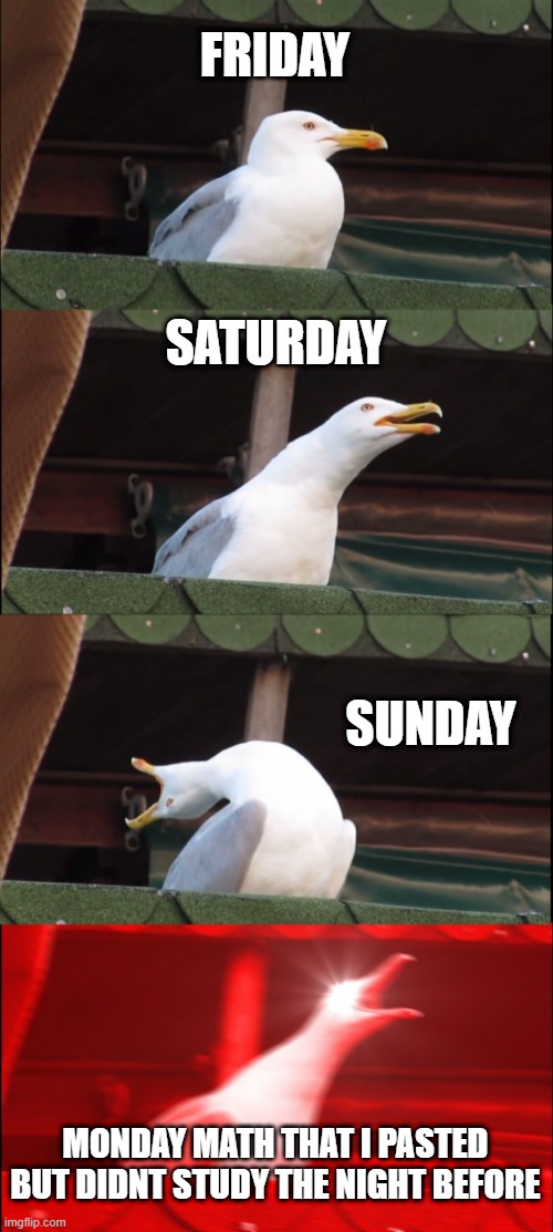 Inhaling Seagull | FRIDAY; SATURDAY; SUNDAY; MONDAY MATH THAT I PASTED BUT DIDNT STUDY THE NIGHT BEFORE | image tagged in memes,inhaling seagull | made w/ Imgflip meme maker