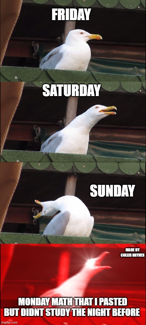 Inhaling Seagull | FRIDAY; SATURDAY; SUNDAY; MADE BY COLLIS HAYNES; MONDAY MATH THAT I PASTED BUT DIDNT STUDY THE NIGHT BEFORE | image tagged in memes,inhaling seagull | made w/ Imgflip meme maker