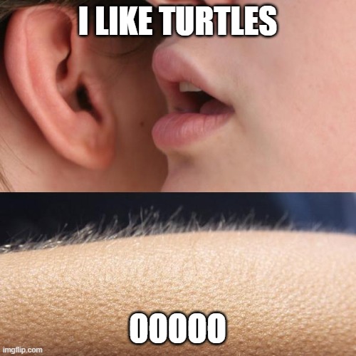 Whisper and Goosebumps | I LIKE TURTLES; OOOOO | image tagged in whisper and goosebumps | made w/ Imgflip meme maker