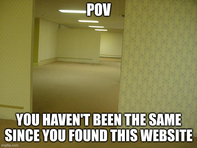 The Backrooms | POV; YOU HAVEN'T BEEN THE SAME SINCE YOU FOUND THIS WEBSITE | image tagged in the backrooms | made w/ Imgflip meme maker