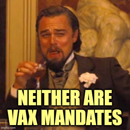 Laughing Leo Meme | NEITHER ARE VAX MANDATES | image tagged in memes,laughing leo | made w/ Imgflip meme maker