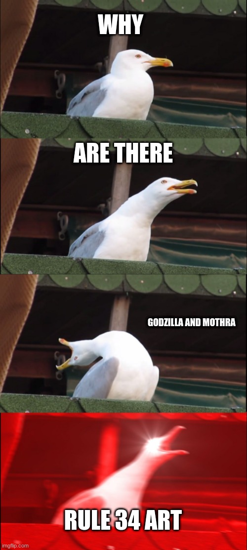plz stop | WHY; ARE THERE; GODZILLA AND MOTHRA; RULE 34 ART | image tagged in memes,inhaling seagull | made w/ Imgflip meme maker