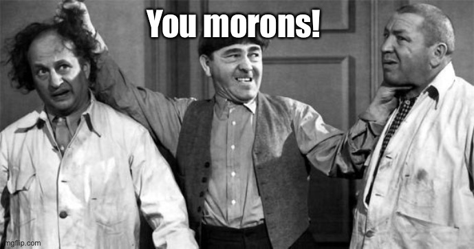 Three Stooges | You morons! | image tagged in three stooges | made w/ Imgflip meme maker