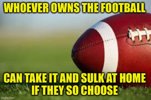 football field | WHOEVER OWNS THE FOOTBALL CAN TAKE IT AND SULK AT HOME 
IF THEY SO CHOOSE | image tagged in football field | made w/ Imgflip meme maker