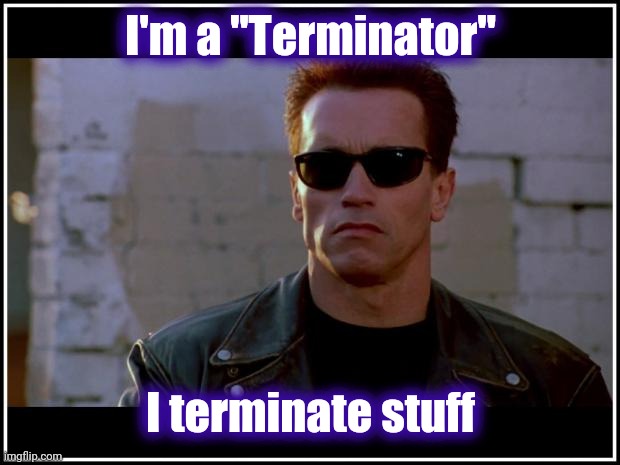 arnold schwarzenegger terminator | I'm a "Terminator" I terminate stuff | image tagged in arnold schwarzenegger terminator | made w/ Imgflip meme maker