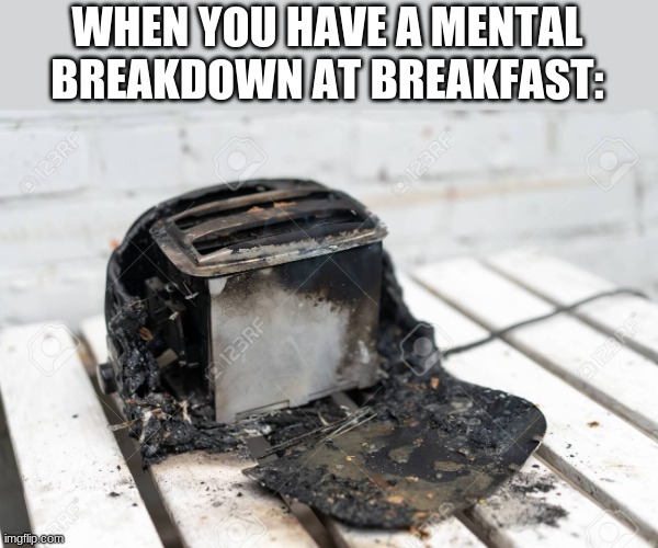TOASTER CULT! | WHEN YOU HAVE A MENTAL BREAKDOWN AT BREAKFAST: | image tagged in toaster | made w/ Imgflip meme maker