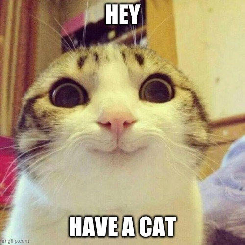 Smiling Cat | HEY; HAVE A CAT | image tagged in memes,smiling cat | made w/ Imgflip meme maker