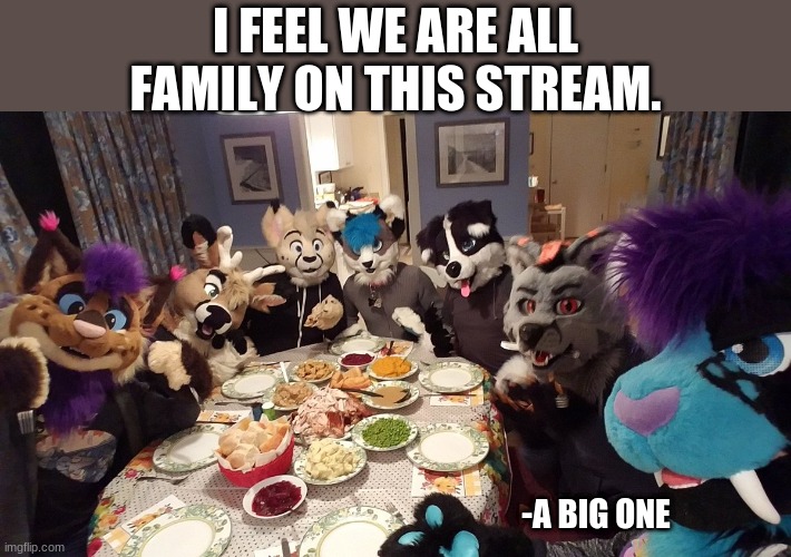 WE're all family here. |  I FEEL WE ARE ALL FAMILY ON THIS STREAM. -A BIG ONE | image tagged in oh wow are you actually reading these tags | made w/ Imgflip meme maker