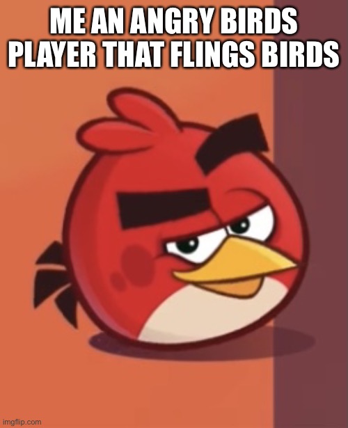 Smug Red | ME AN ANGRY BIRDS PLAYER THAT FLINGS BIRDS | image tagged in smug red | made w/ Imgflip meme maker
