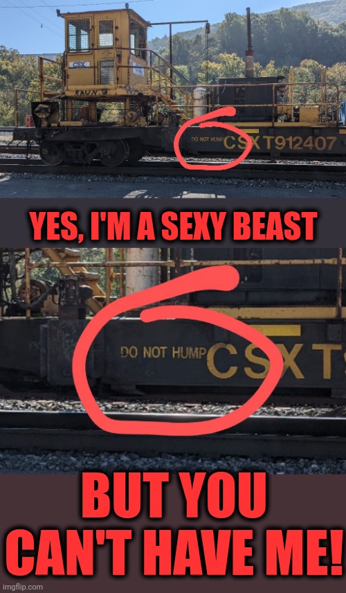 Lookin' good though! | YES, I'M A SEXY BEAST; BUT YOU CAN'T HAVE ME! | image tagged in memes,sexy beast,do not hump,railroad mystery machine,cxst912407 | made w/ Imgflip meme maker