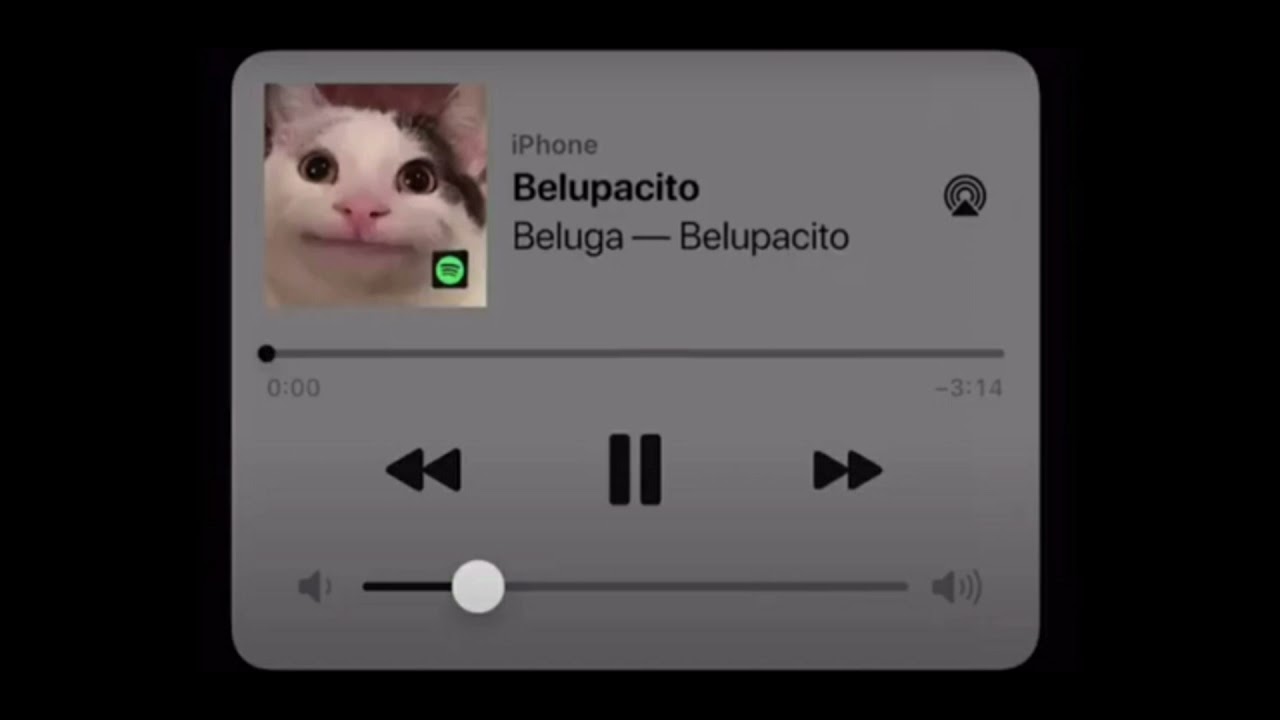 Belupacito Blank Meme Template