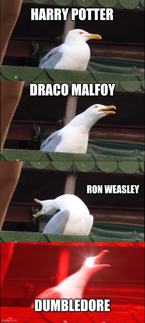 Inhaling Seagull Meme | HARRY POTTER; DRACO MALFOY; RON WEASLEY; DUMBLEDORE | image tagged in memes,inhaling seagull | made w/ Imgflip meme maker