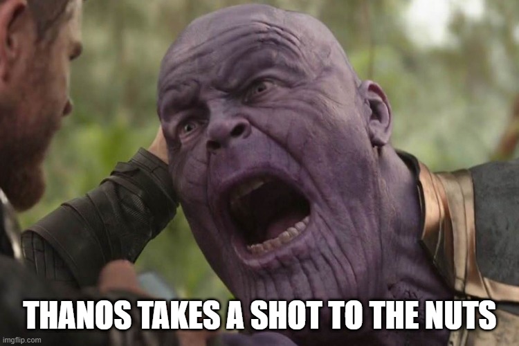 Thor Crotched | THANOS TAKES A SHOT TO THE NUTS | image tagged in thanos,thor | made w/ Imgflip meme maker