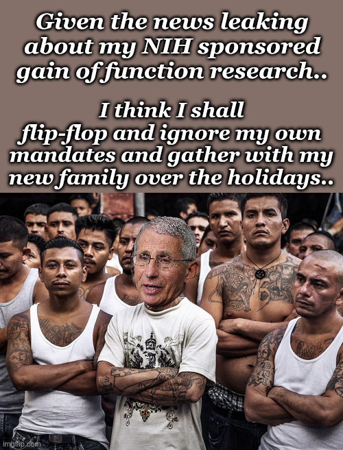 Dr. Anthony Fauci - With His New Prison Family | Given the news leaking about my NIH sponsored gain of function research.. I think I shall flip-flop and ignore my own mandates and gather with my new family over the holidays.. | image tagged in ms-13 dreamers daca,gain of function research,nih and wuhan connection,dr fauci | made w/ Imgflip meme maker