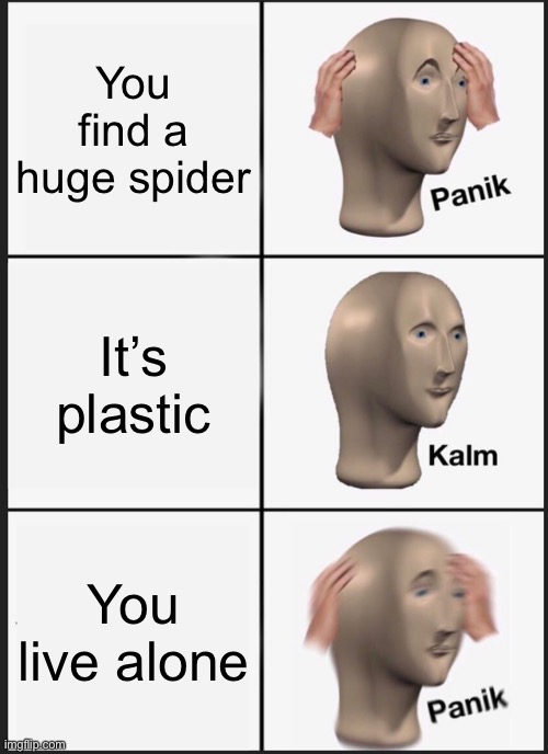 That would be scary af |  You find a huge spider; It’s plastic; You live alone | image tagged in memes,panik kalm panik | made w/ Imgflip meme maker
