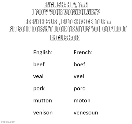 Linguistics meme 2 |  ENGLISH: HEY, CAN I COPY YOUR VOCABULARY? FRENCH: SURE, BUT CHANGE IT UP A BIT SO IT DOESN'T LOOK OBVIOUS YOU COPIED IT; ENGLISH:OK | image tagged in blank white template | made w/ Imgflip meme maker