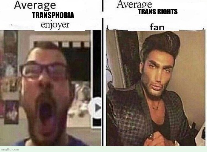 Average *BLANK* Fan VS Average *BLANK* Enjoyer | TRANSPHOBIA TRANS RIGHTS | image tagged in average blank fan vs average blank enjoyer | made w/ Imgflip meme maker