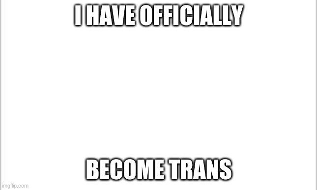 white background | I HAVE OFFICIALLY; BECOME TRANS | image tagged in white background | made w/ Imgflip meme maker