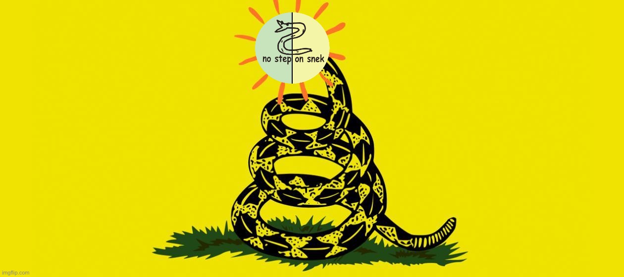 Libertarian alliance flag Blank Meme Template