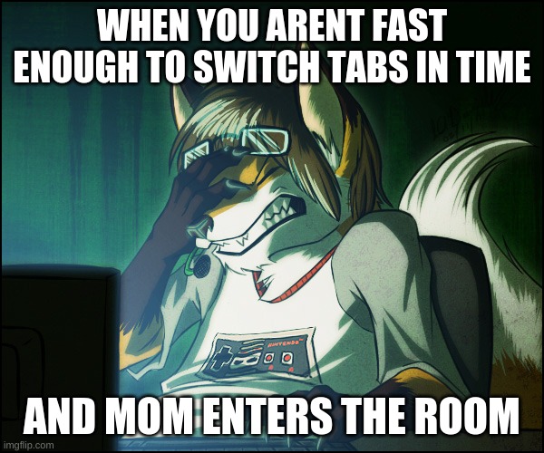 uhhhh | WHEN YOU ARENT FAST ENOUGH TO SWITCH TABS IN TIME; AND MOM ENTERS THE ROOM | image tagged in furry facepalm | made w/ Imgflip meme maker