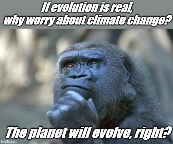 Climate change, ozone hole, acid rain, angry gods, and the planet has only lasted 4 billion years. Only mankind can save it now. | If evolution is real, why worry about climate change? The planet will evolve, right? | image tagged in that is the question | made w/ Imgflip meme maker