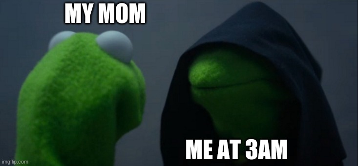 real life | MY MOM; ME AT 3AM | image tagged in memes,evil kermit | made w/ Imgflip meme maker