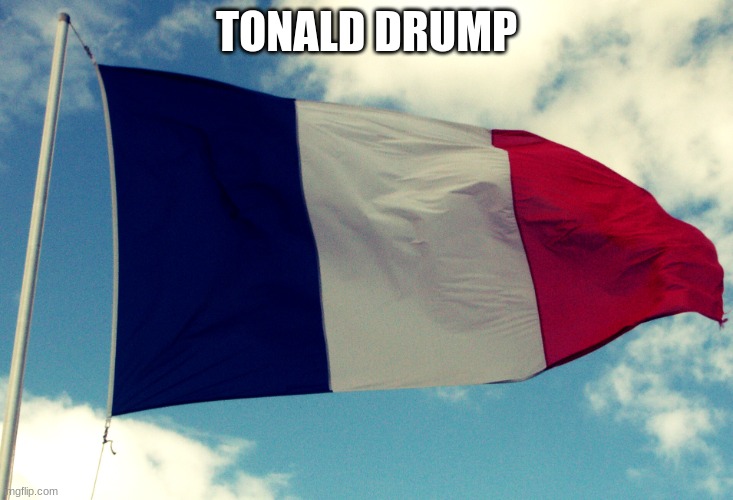 Surrender | TONALD DRUMP | image tagged in french flag | made w/ Imgflip meme maker