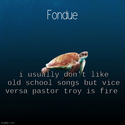SHESEEESEEEESHHS | i usually don't like old school songs but vice versa pastor troy is fire | image tagged in turtle template-fondue | made w/ Imgflip meme maker