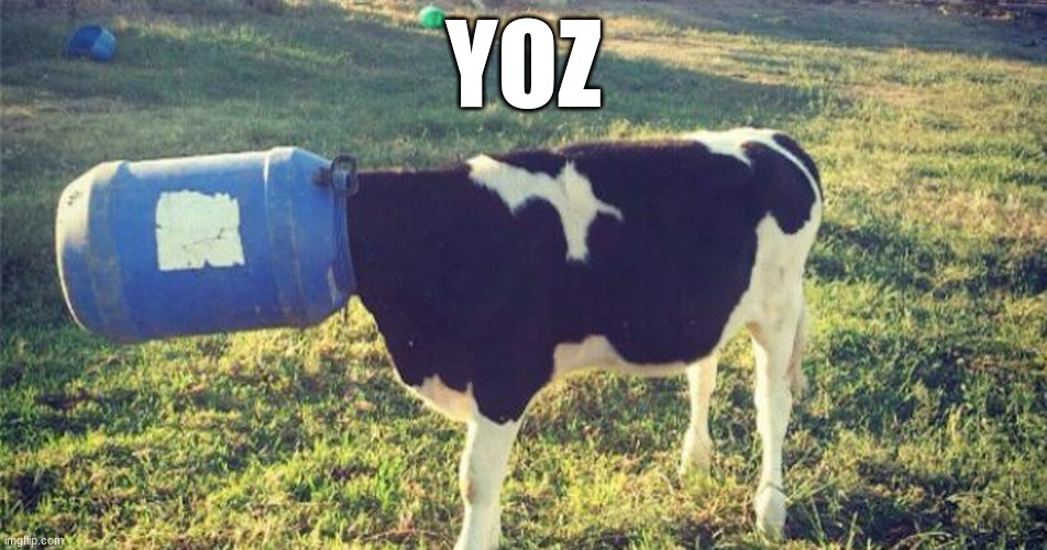 Yoz | YOZ | image tagged in cow | made w/ Imgflip meme maker