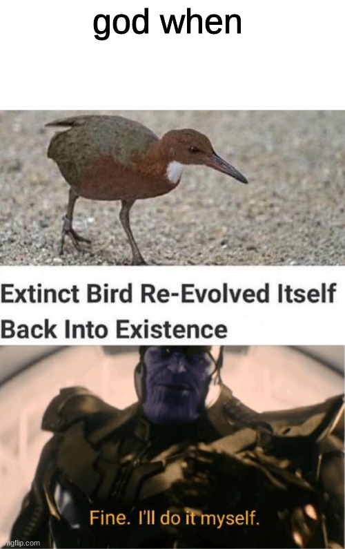 When you say no to god | god when | image tagged in fine ill do it myself thanos | made w/ Imgflip meme maker