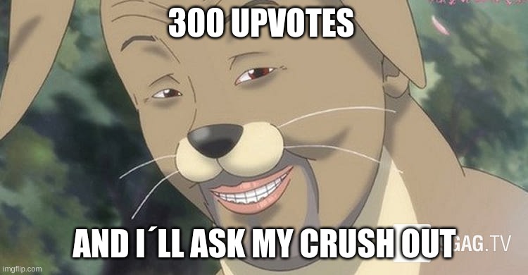 Weird anime hentai furry | 300 UPVOTES; AND I´LL ASK MY CRUSH OUT | image tagged in weird anime hentai furry | made w/ Imgflip meme maker