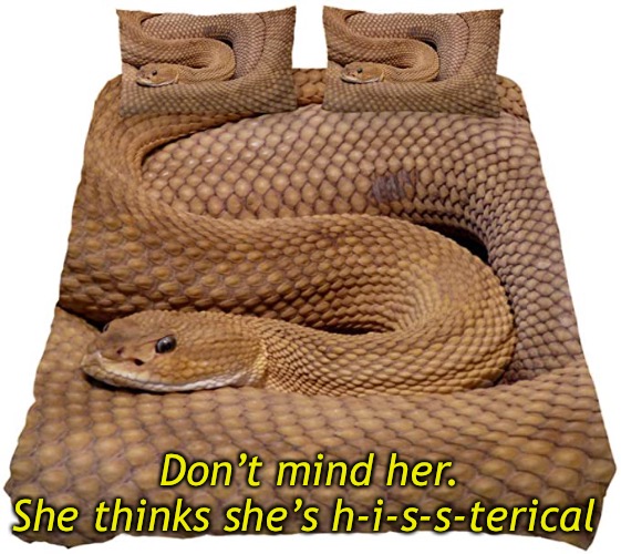 Don’t mind her.
She thinks she’s h-i-s-s-terical | made w/ Imgflip meme maker