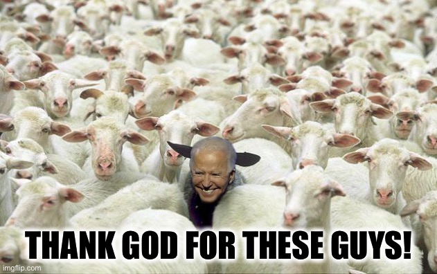 Biden sheep | THANK GOD FOR THESE GUYS! | image tagged in biden sheep | made w/ Imgflip meme maker
