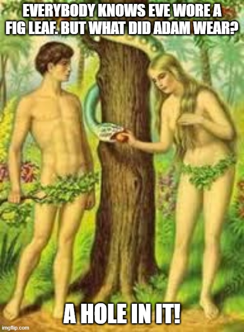 Weared It Out | EVERYBODY KNOWS EVE WORE A FIG LEAF. BUT WHAT DID ADAM WEAR? A HOLE IN IT! | image tagged in adam and eve | made w/ Imgflip meme maker