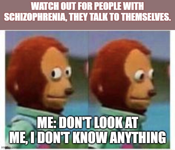 side eye teddy | WATCH OUT FOR PEOPLE WITH SCHIZOPHRENIA, THEY TALK TO THEMSELVES. ME: DON'T LOOK AT ME, I DON'T KNOW ANYTHING | image tagged in side eye teddy | made w/ Imgflip meme maker