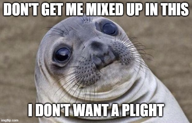Awkward Moment Sealion |  DON'T GET ME MIXED UP IN THIS; I DON'T WANT A PLIGHT | image tagged in memes,awkward moment sealion | made w/ Imgflip meme maker