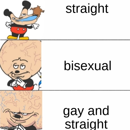 smort | straight; bisexual; gay and straight | image tagged in lol,funny,memes | made w/ Imgflip meme maker