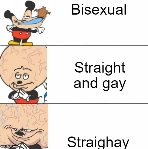 Expanding Brain Mokey | Bisexual; Straight and gay; Straighay | image tagged in expanding brain mokey | made w/ Imgflip meme maker
