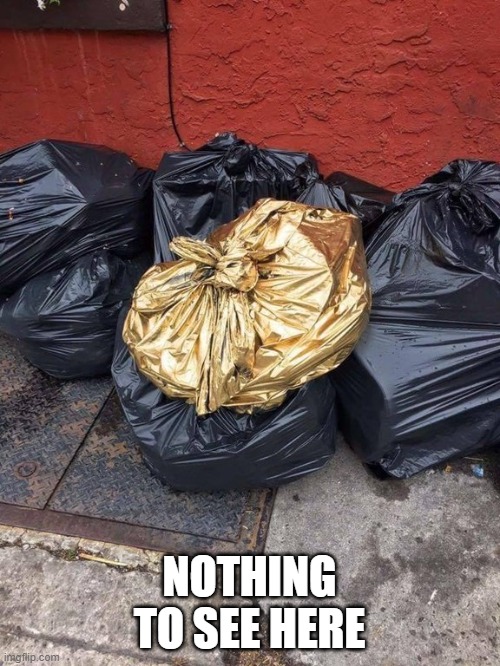 Golden Trash Bag | NOTHING TO SEE HERE | image tagged in golden trash bag | made w/ Imgflip meme maker