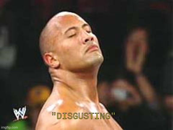 The Rock Smelling | "DISGUSTING" | image tagged in the rock smelling | made w/ Imgflip meme maker